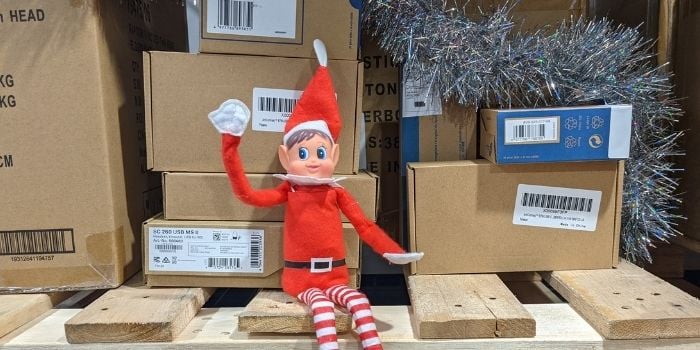 CartonCloud holiday case study